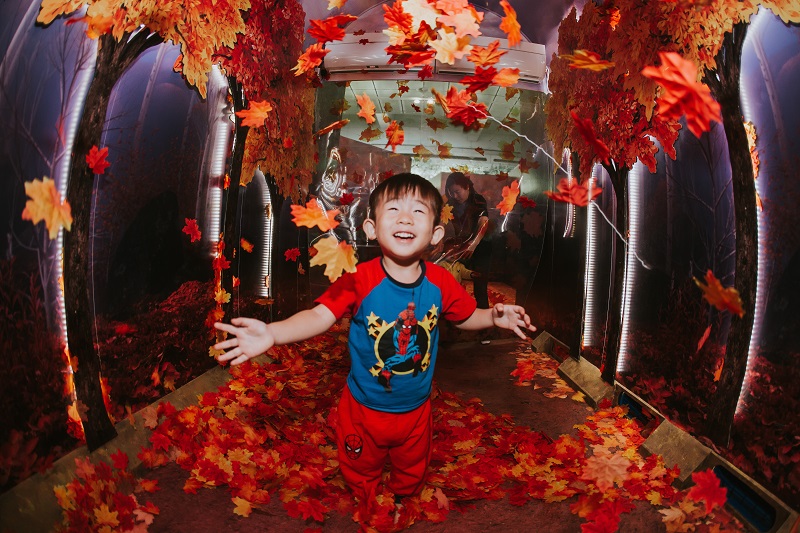 A boy having fun in the Air Zone of the Enchanted Forest.